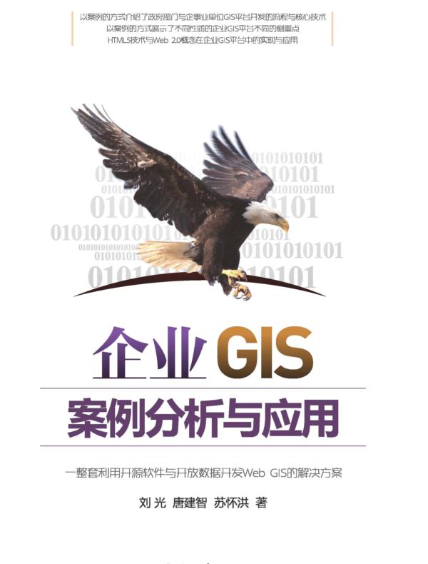企业GIS案例分析与应用