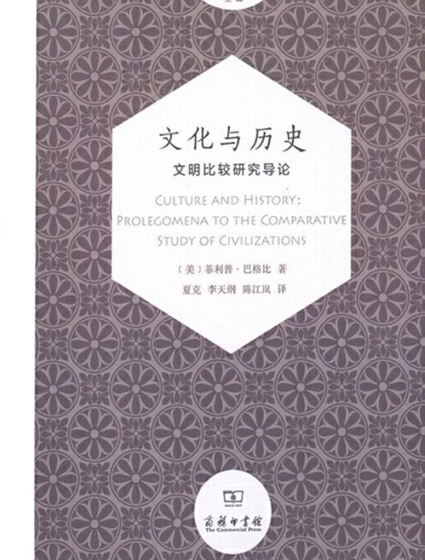 文化与历史：文明比较研究导论