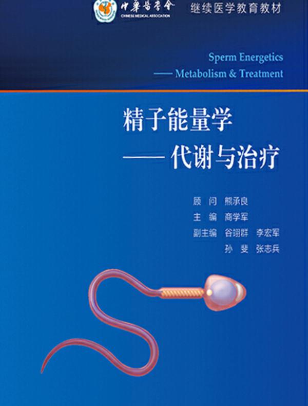 精子能量学——代谢与治疗