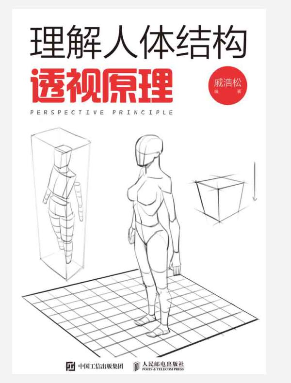 理解人体结构：透视原理