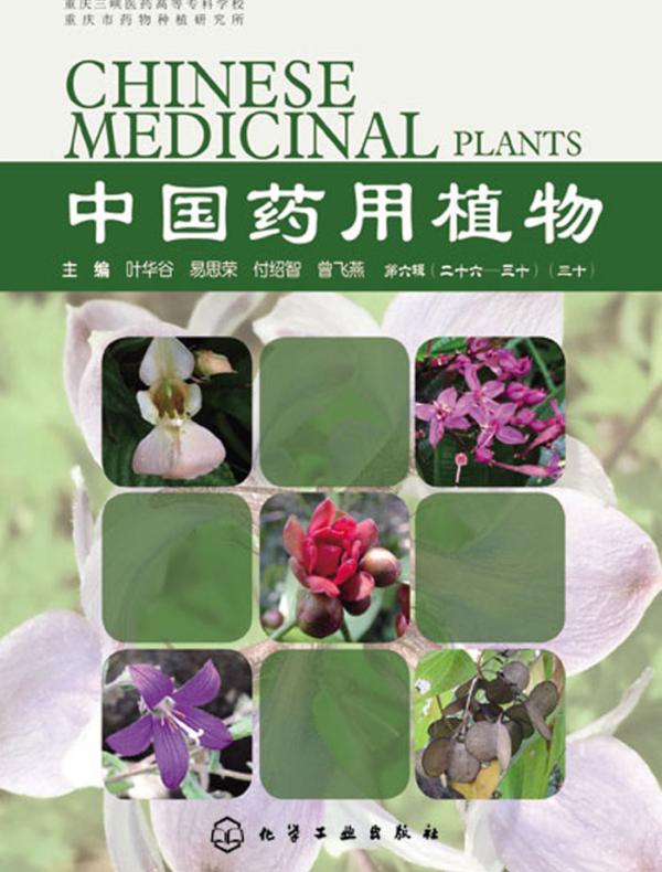 中国药用植物(三十)