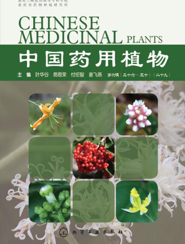 中国药用植物(二十九)