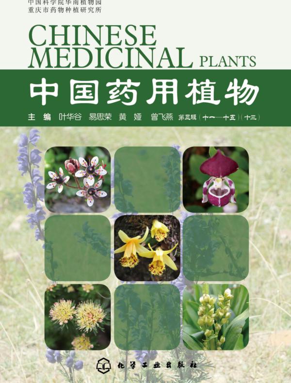 中国药用植物(十三)