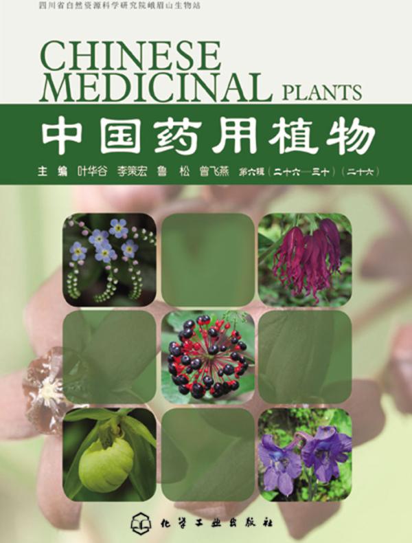 中国药用植物(二十六)