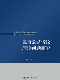 民事公益诉讼理论问题研究