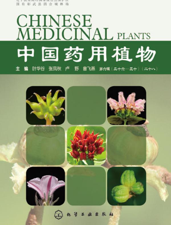 中国药用植物(二十八)