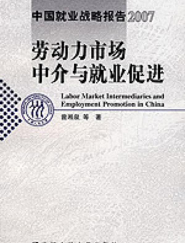 劳动力市场中介与就业促进（中国就业战略报告2007）