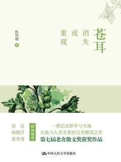 封面