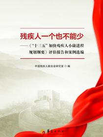 残疾人一个也不能少：“十三五”加快残疾人小康进程规划纲要评估报告和案例选编
