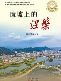 废墟上的涅槃