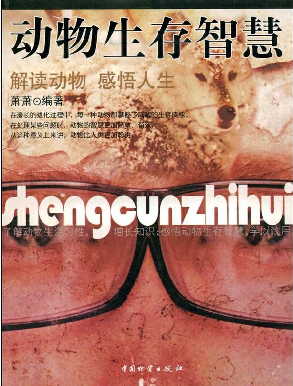 动物生存智慧