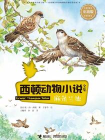 西顿动物小说全集：麻雀兰迪（彩绘版）