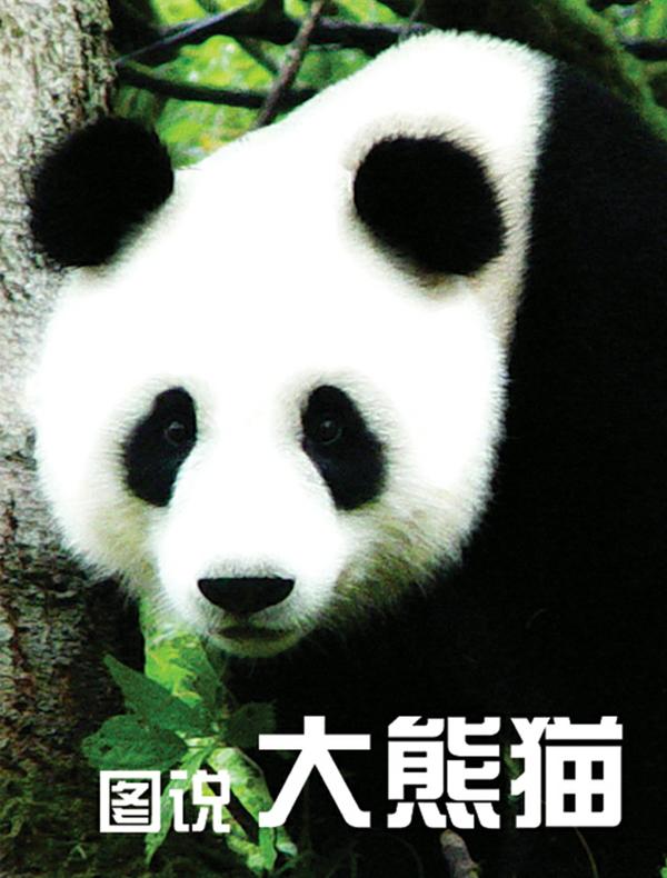 图说大熊猫