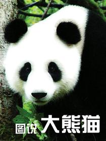 图说大熊猫