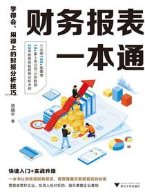 财务报表一本通：学得会、用得上的财报分析技巧