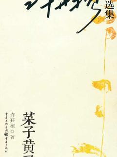 封面