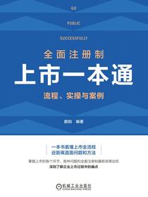 全面注册制上市一本通：流程、实操与案例