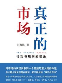 真正的市场：行动与规则的视角