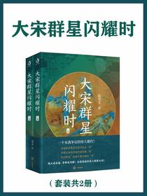 大宋群星闪耀时（共二册）