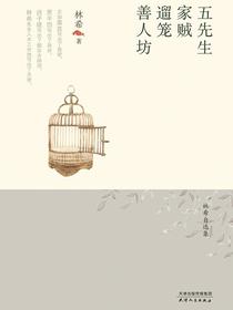 五先生·家贼·遛笼·善人坊（林希自选集）