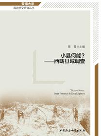 小县何能？：西畴县域调查