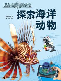 探索海洋动物