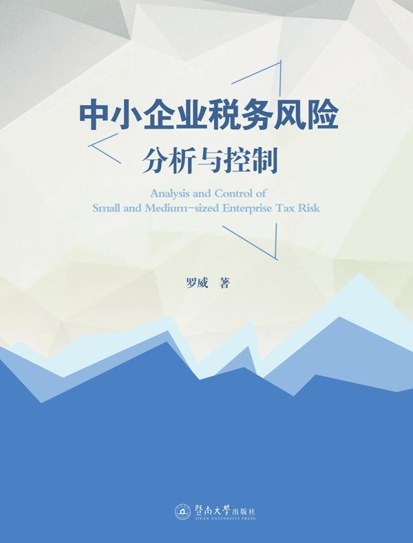 中小企业税务风险分析与控制
