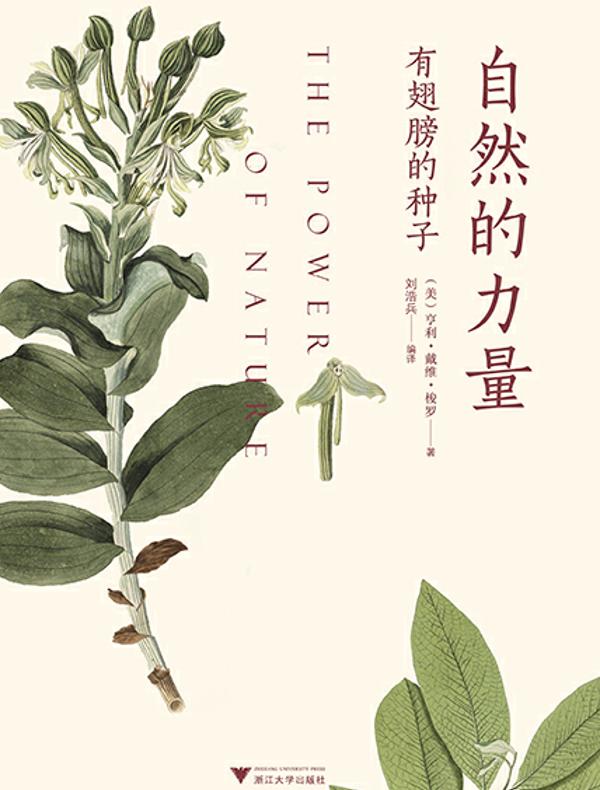 自然的力量：有翅膀的种子