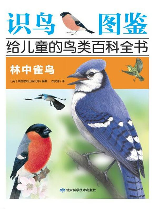林中雀鸟（识鸟图鉴.给儿童的鸟百科全书）