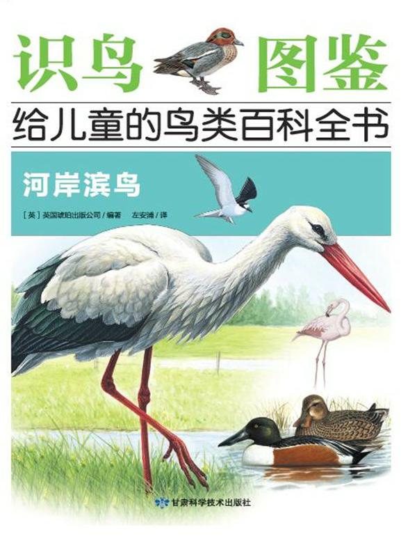 河岸滨鸟（识鸟图鉴.给儿童的鸟百科全书）