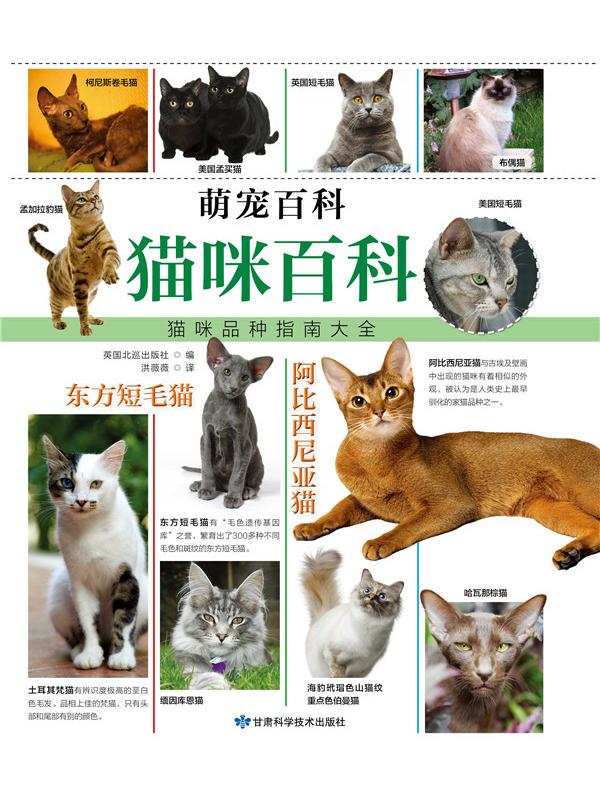 猫咪百科