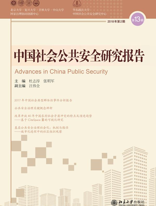 中国社会公共安全研究报告(第13辑)