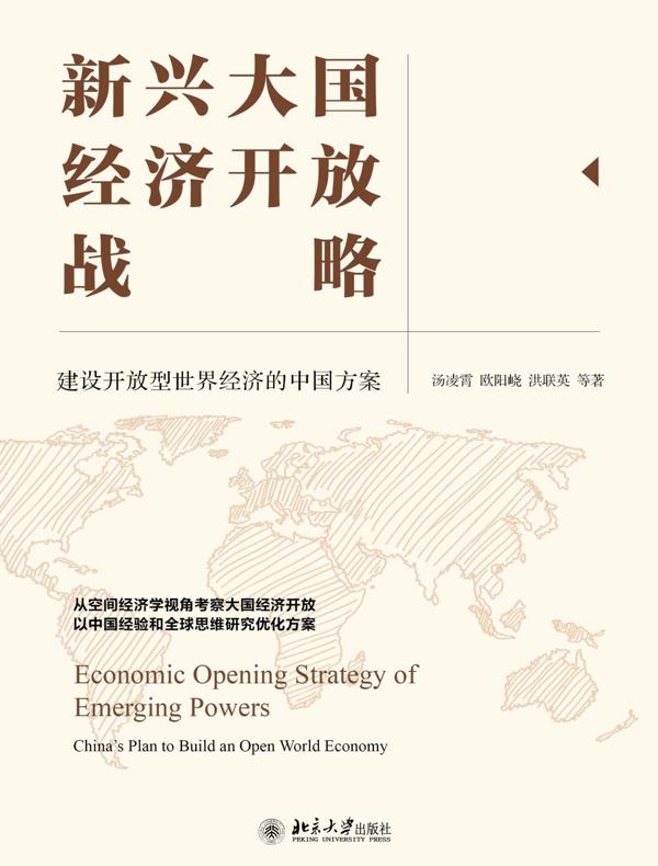 新兴大国经济开放战略：建设开放型世界经济的中国方案