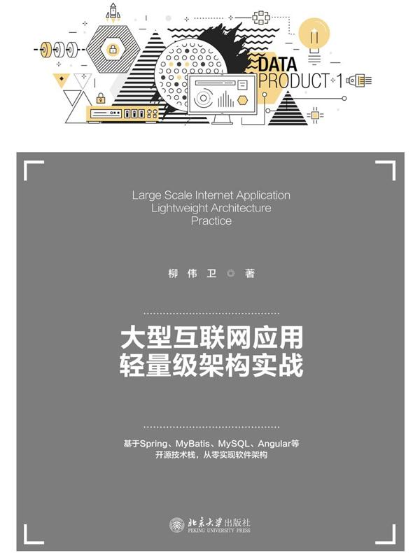 大型互联网应用轻量级架构实战