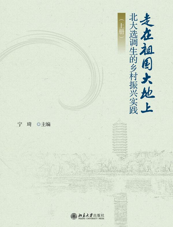 走在祖国大地上：北大选调生的乡村振兴实践（上册）