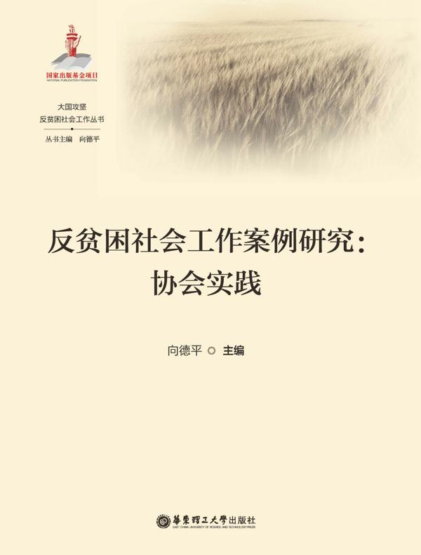 反贫困社会工作案例研究：协会实践