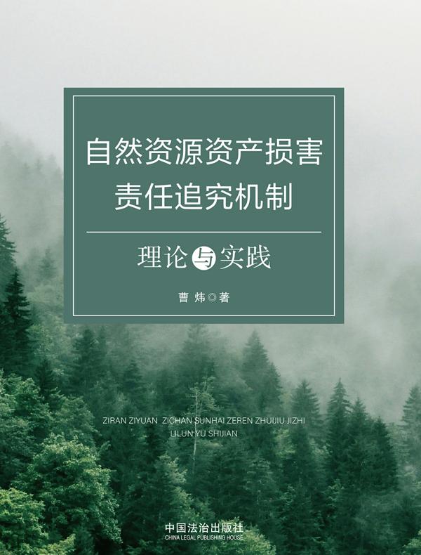 自然资源资产损害责任追究机制：理论与实践