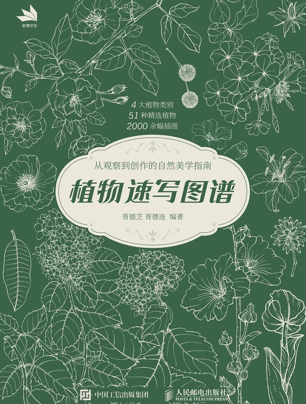 植物速写图谱