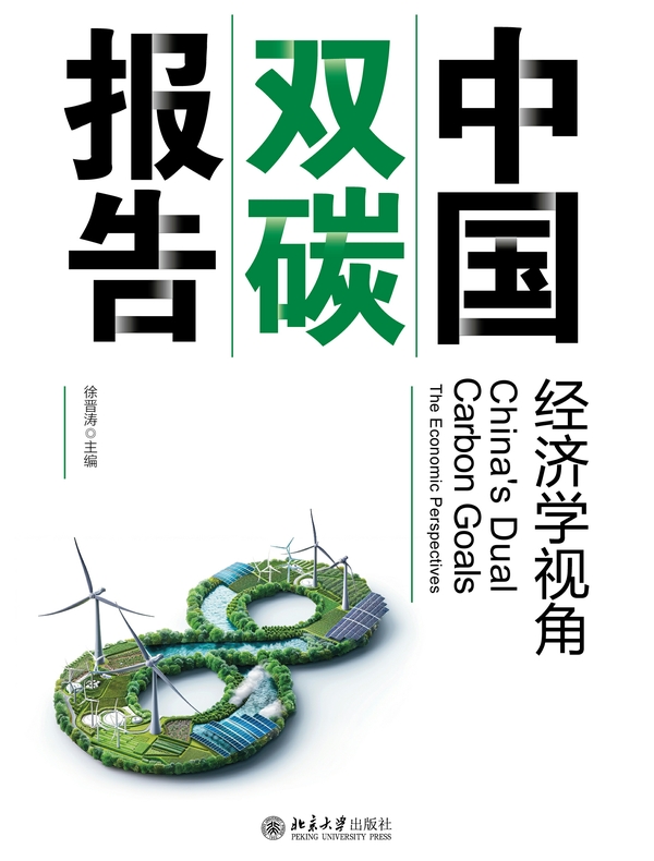 中国双碳报告:经济学视角
