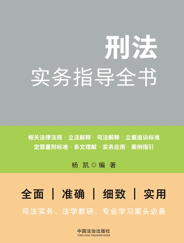 刑法实务指导全书