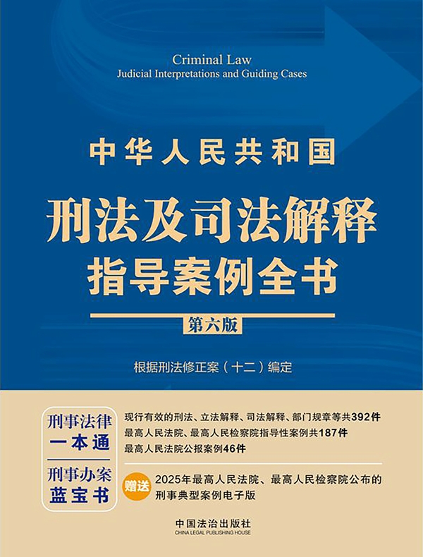 中华人民共和国刑法及司法解释指导案例全书(第六版)