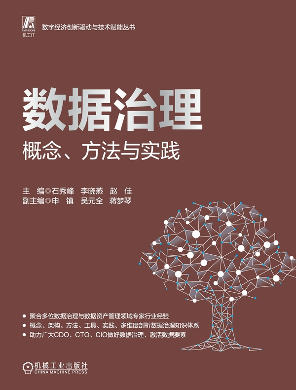 数据治理：概念、方法与实践