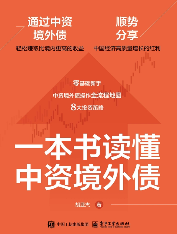 一本书读懂中资境外债