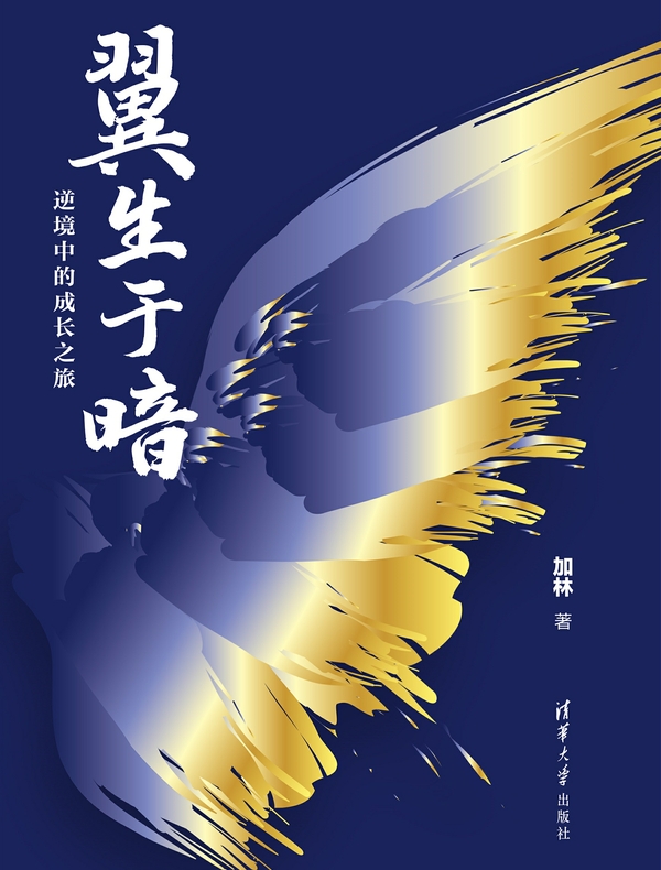 翼生于暗：逆境中的成长之旅