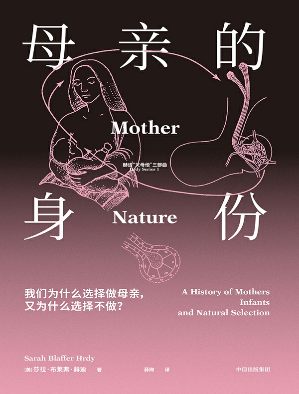 母亲的身份 母亲的身份