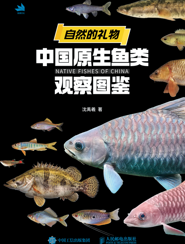 自然的礼物：中国原生鱼类观察图鉴