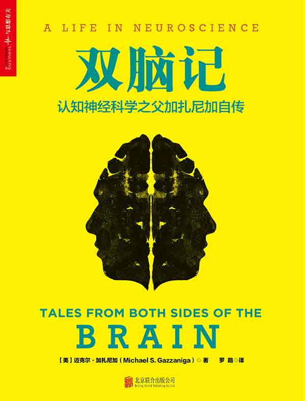 双脑记