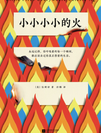 小小小小的火