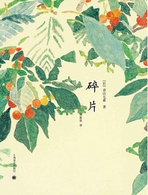 碎片