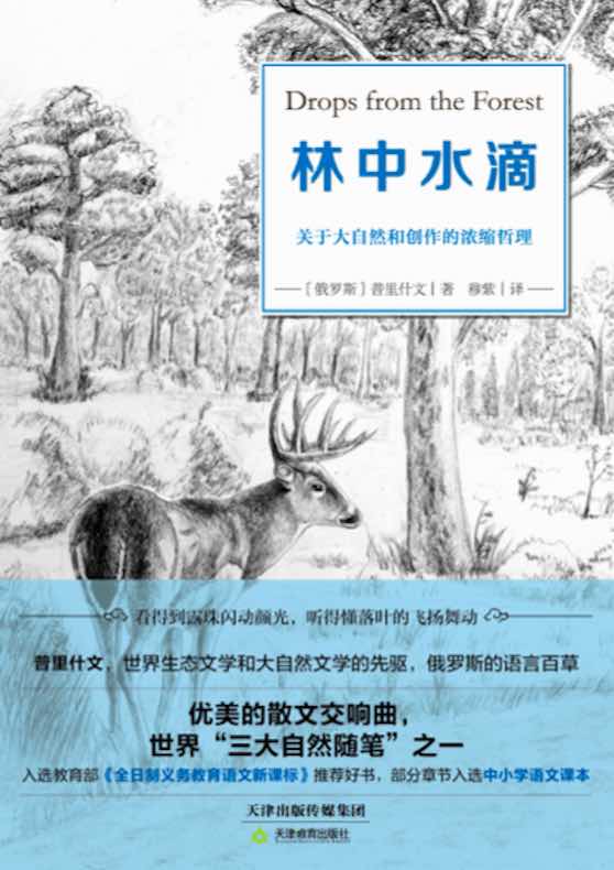 林中水滴